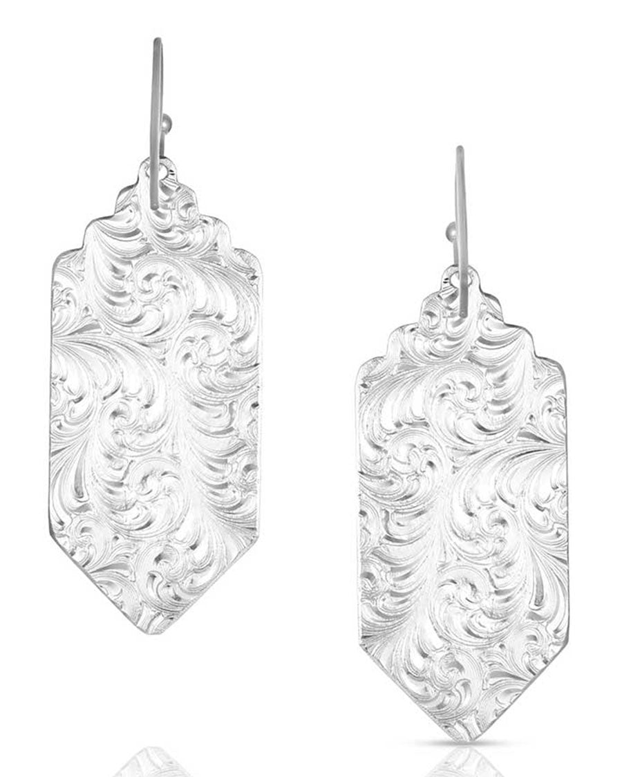 Southwestern Resilience American Made Earrings - Amer6177