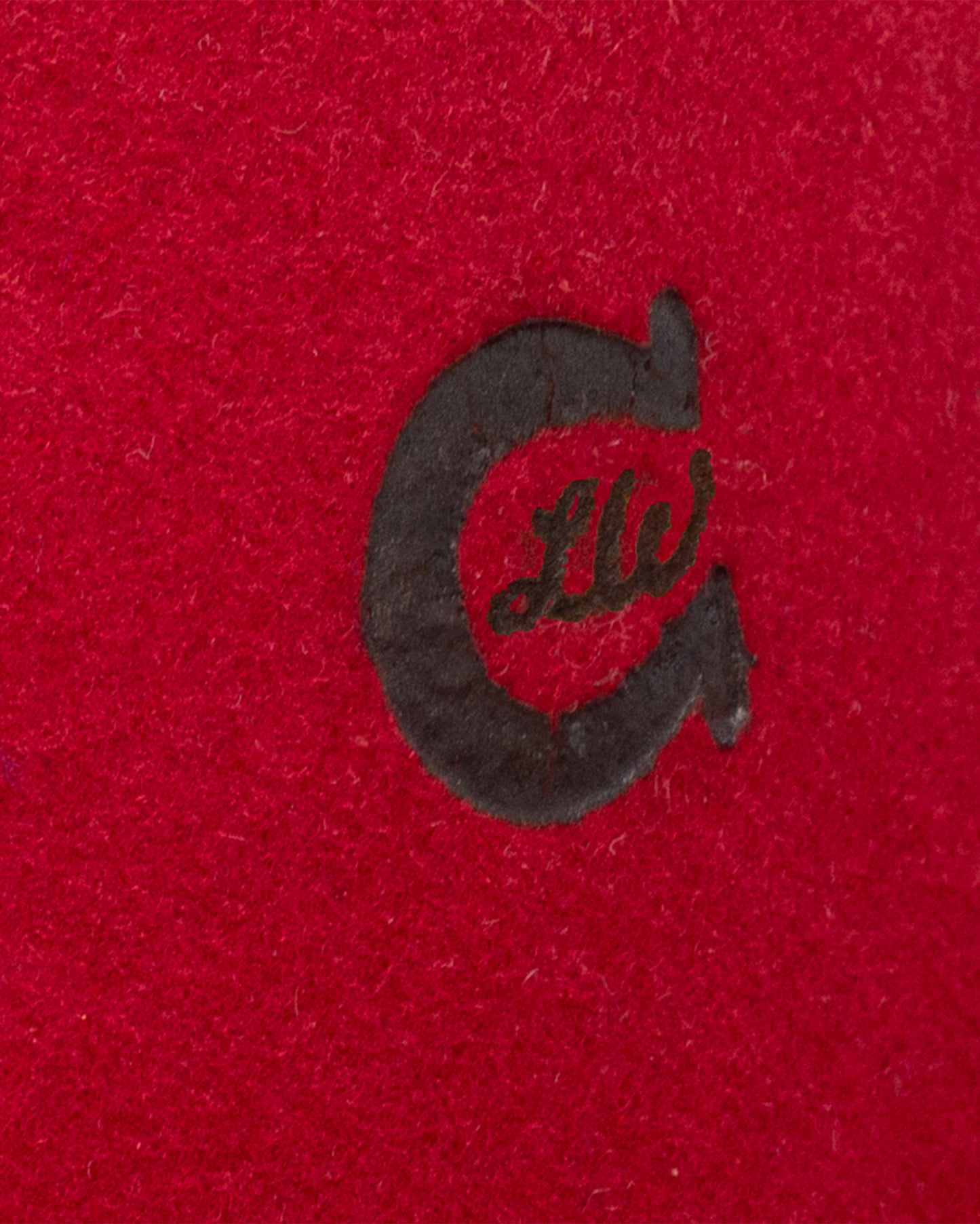 Women's X Lainey Wilson Wild Horses 4X Wool Western Hat