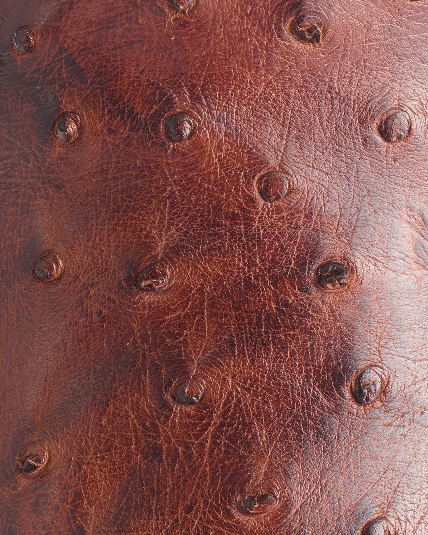 Men's Elgin Western Boot