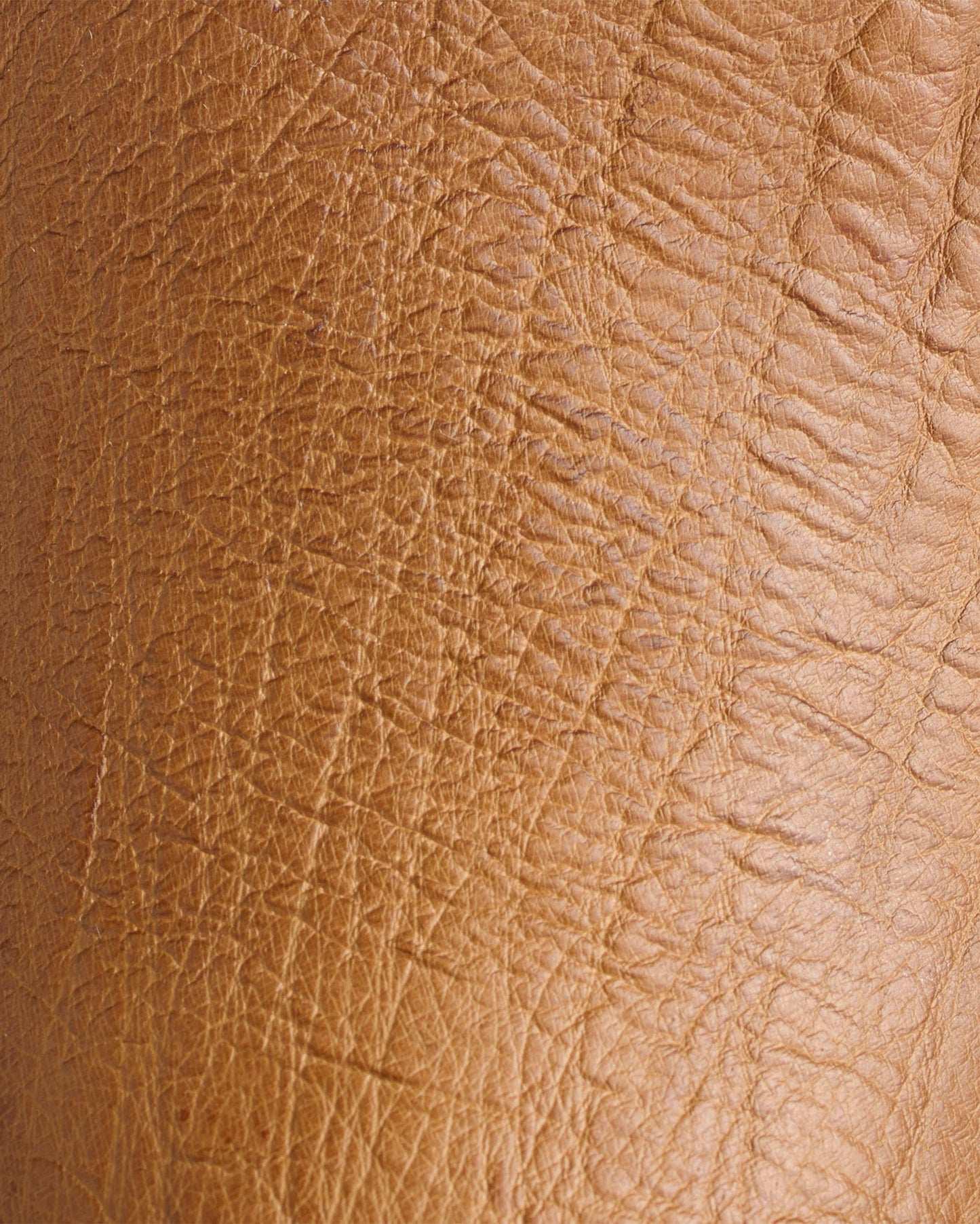 Men's Ridgeline Chukka Boots