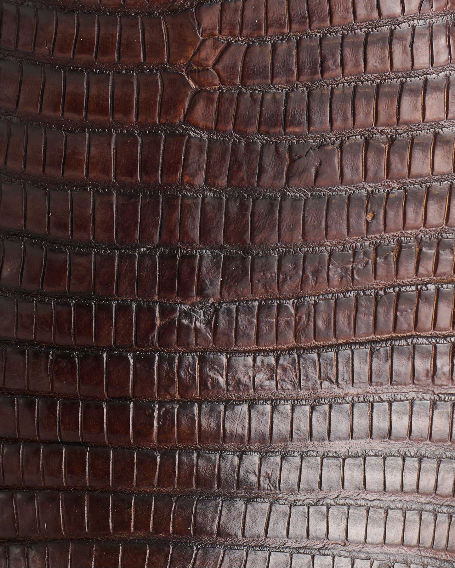 Men's Percy Lizard Boots