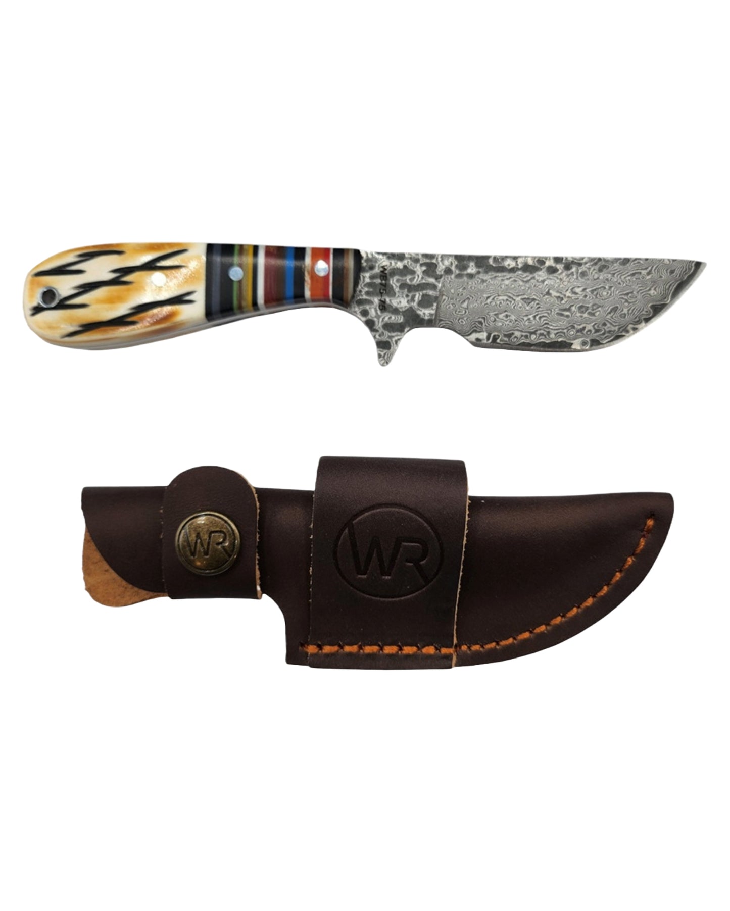 Bandito G10 Bone Damascus Ciervo Skinner Knife - Wb75-75