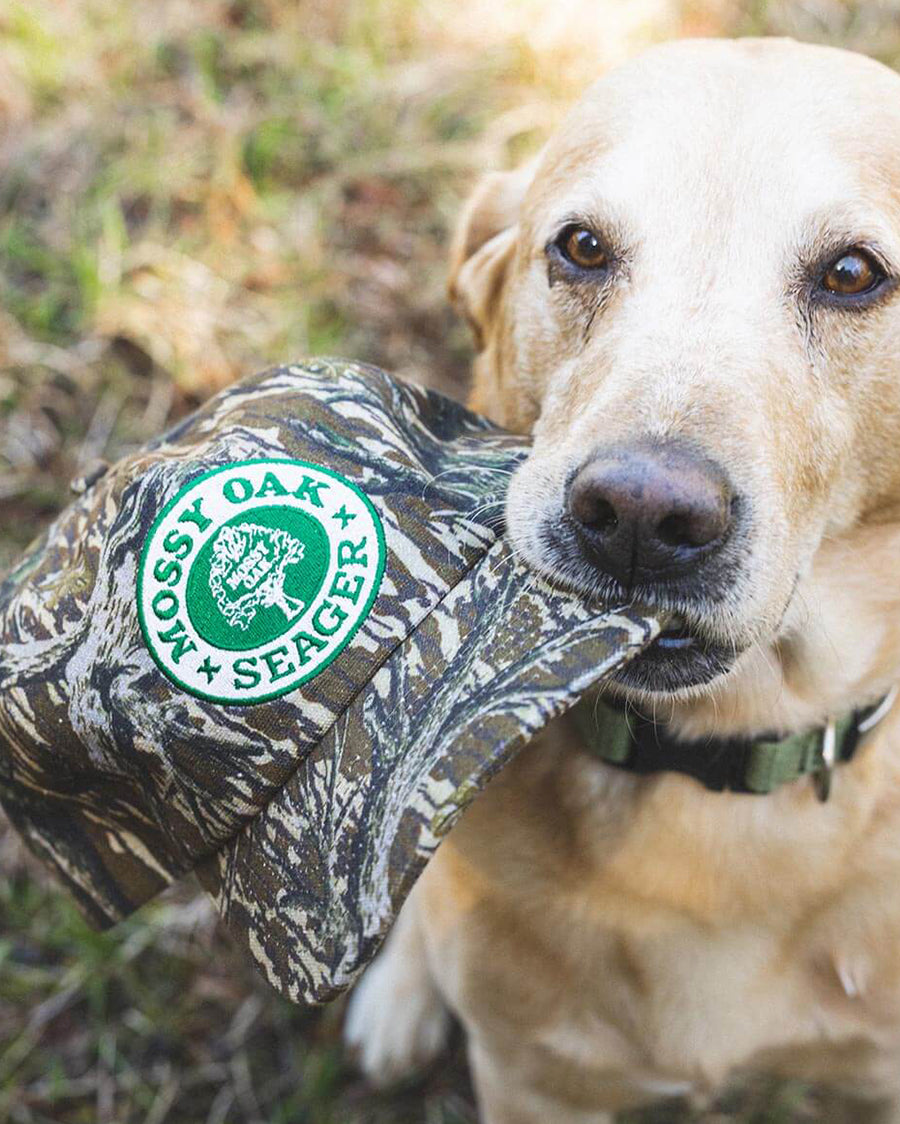 X Mossy Oak Snapback Cap