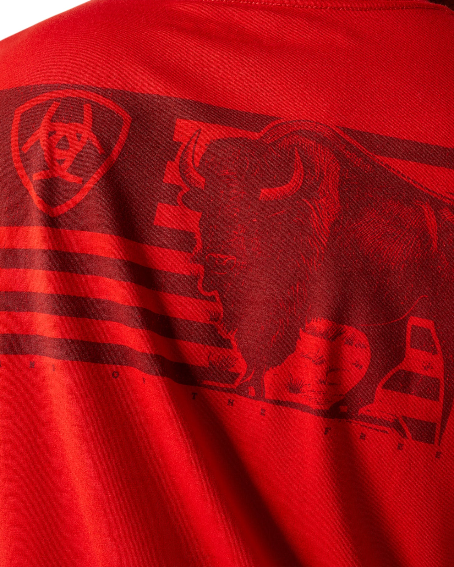 Men's Ariat Etched Buffalo T-Shirt