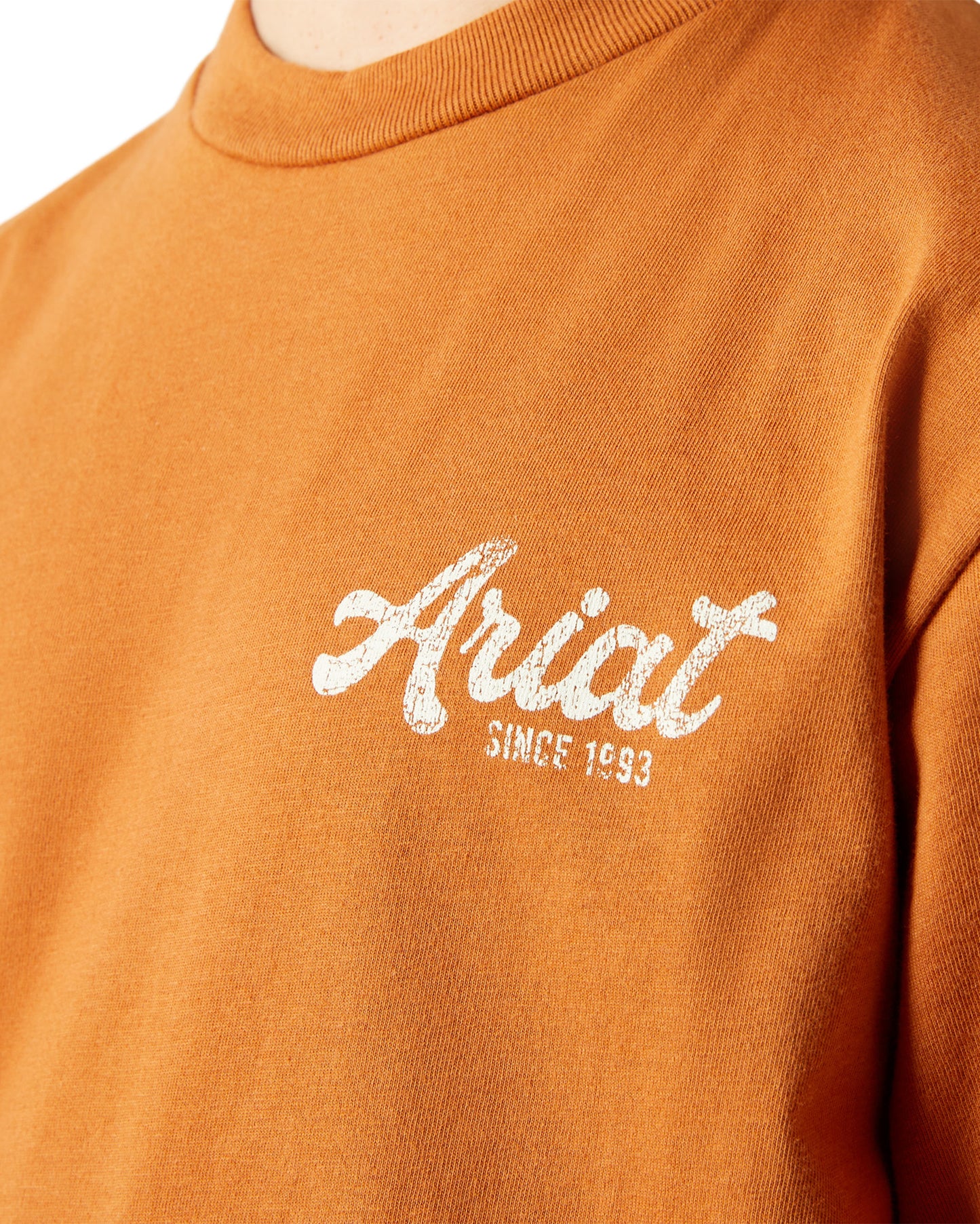 Boys' Ariat Coyote Country T-Shirt - 10065981