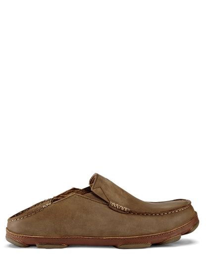 Men's Moloa Shoes