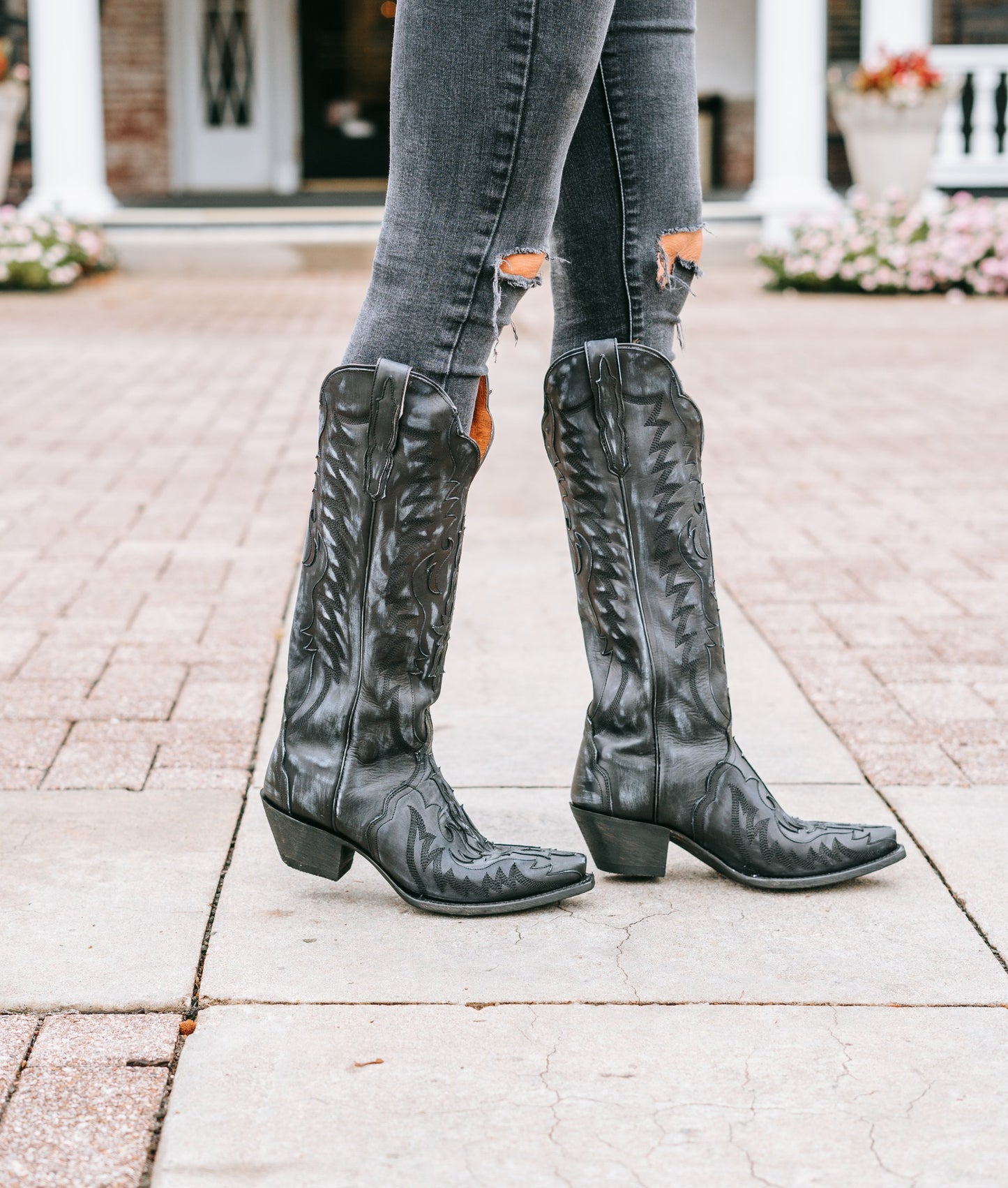 Women's Hallie Tall Western Boots