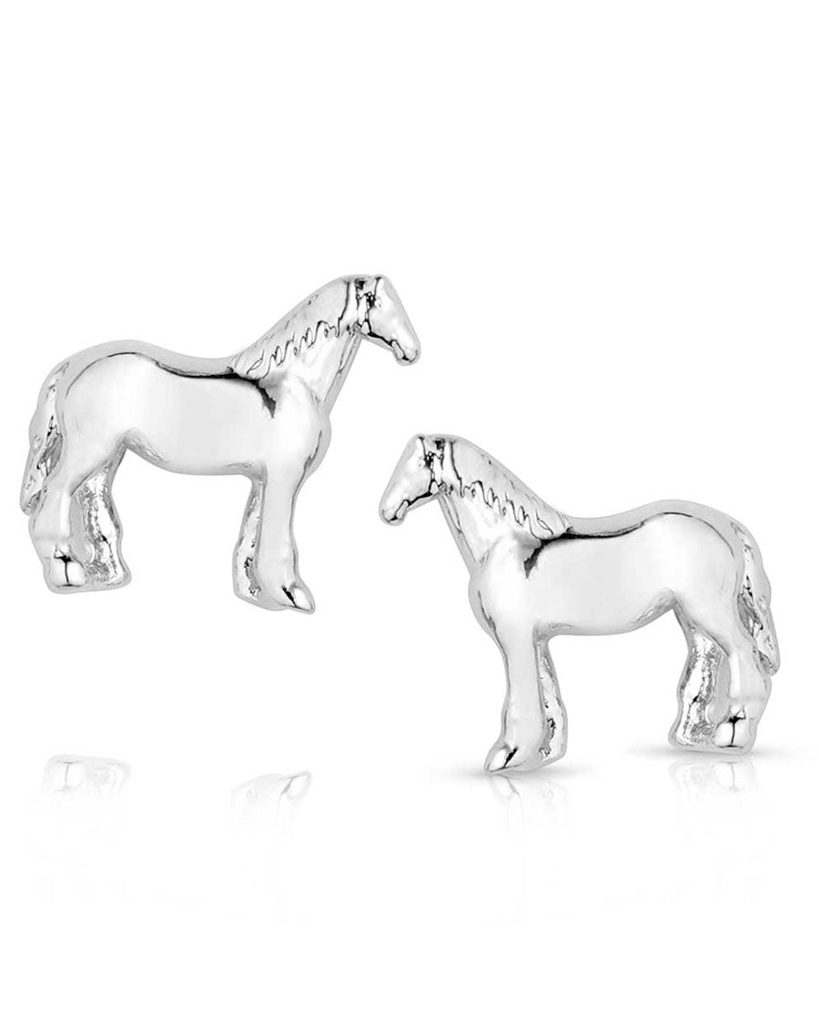 Quarter Horse Earrings - Qer5972