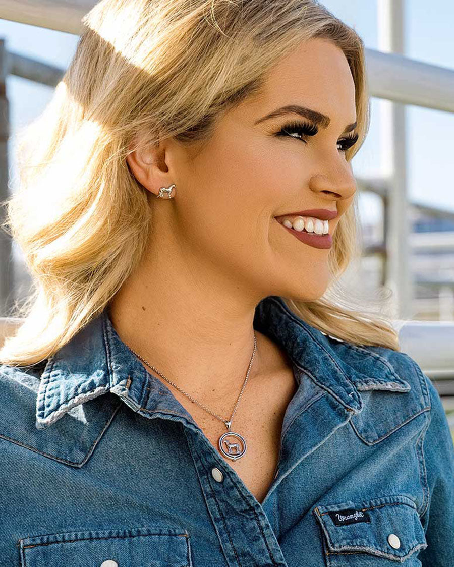 Quarter Horse Earrings - Qer5972