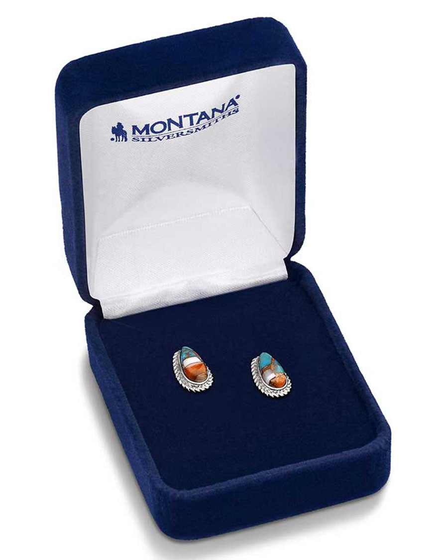 Mountain Glacier Treasures Earrings - Er6015