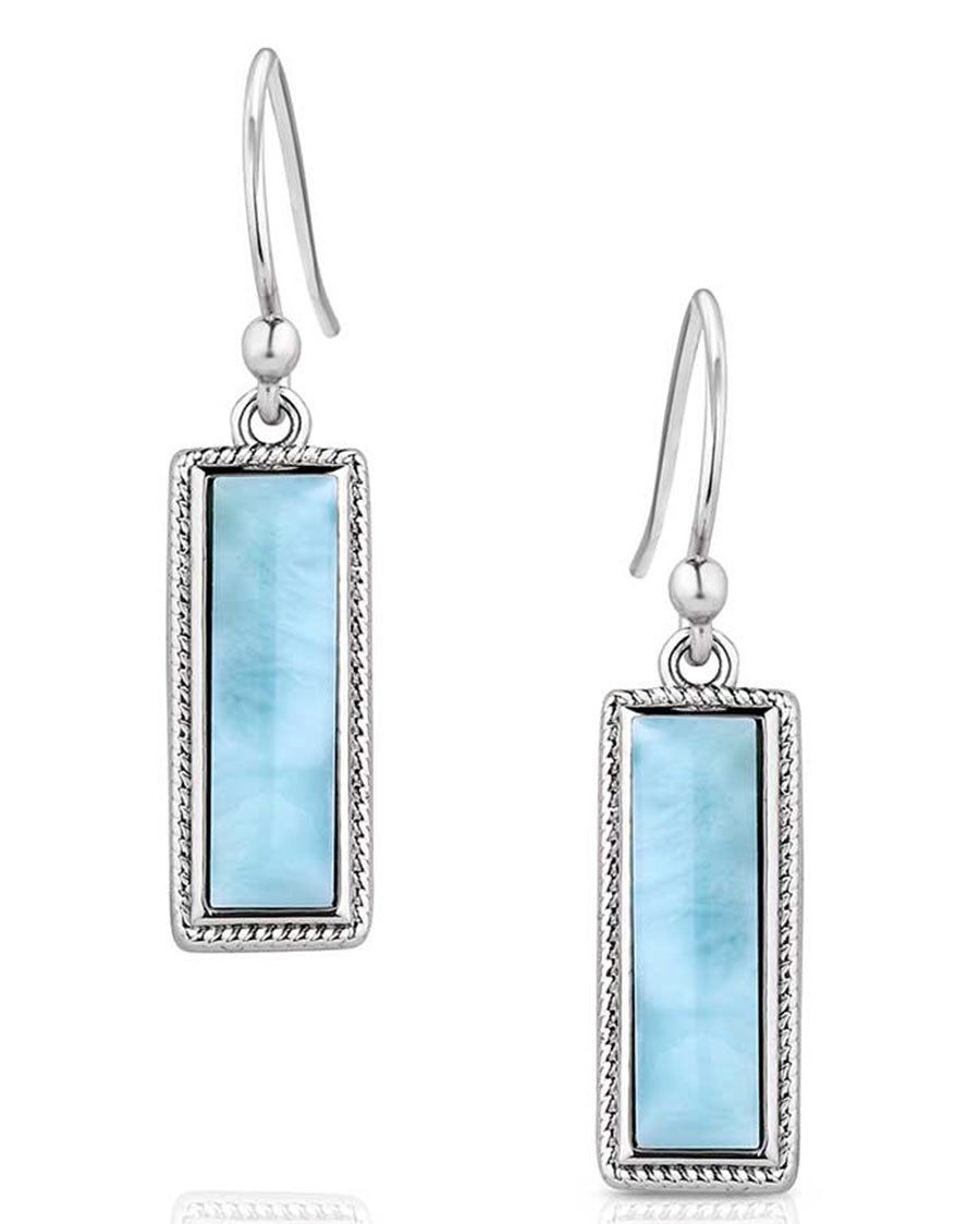 Peace & Serenity Earrings - Er6029