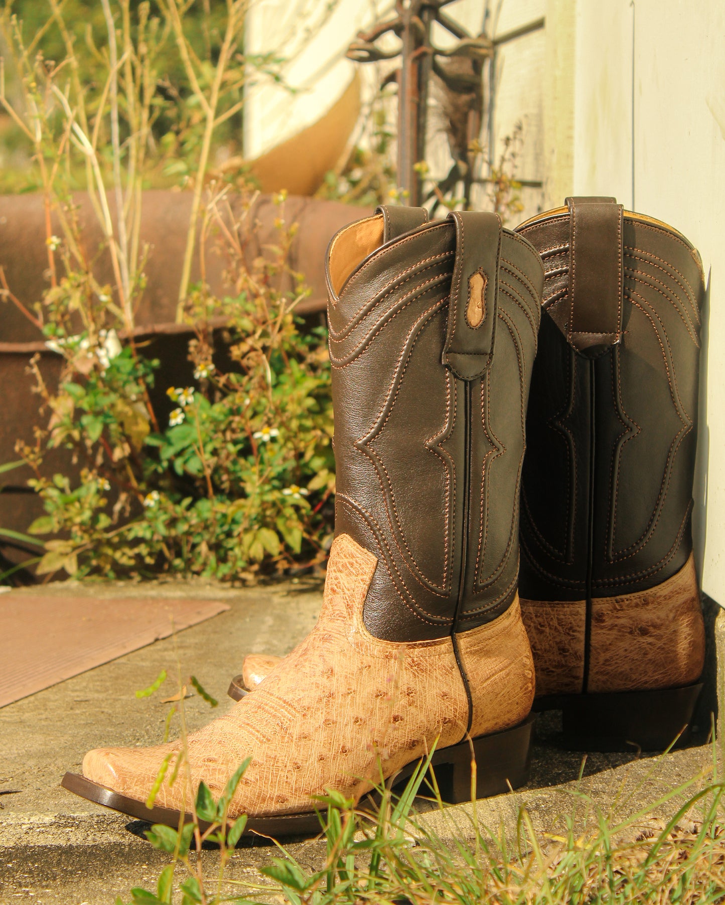Men's Exotic Cutter Toe Western Boots