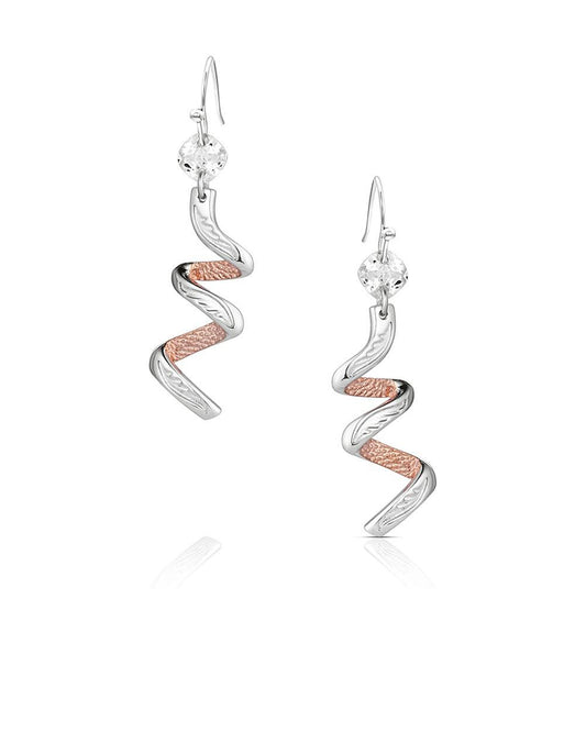 Buckaroo Bling Earrings - Er6463