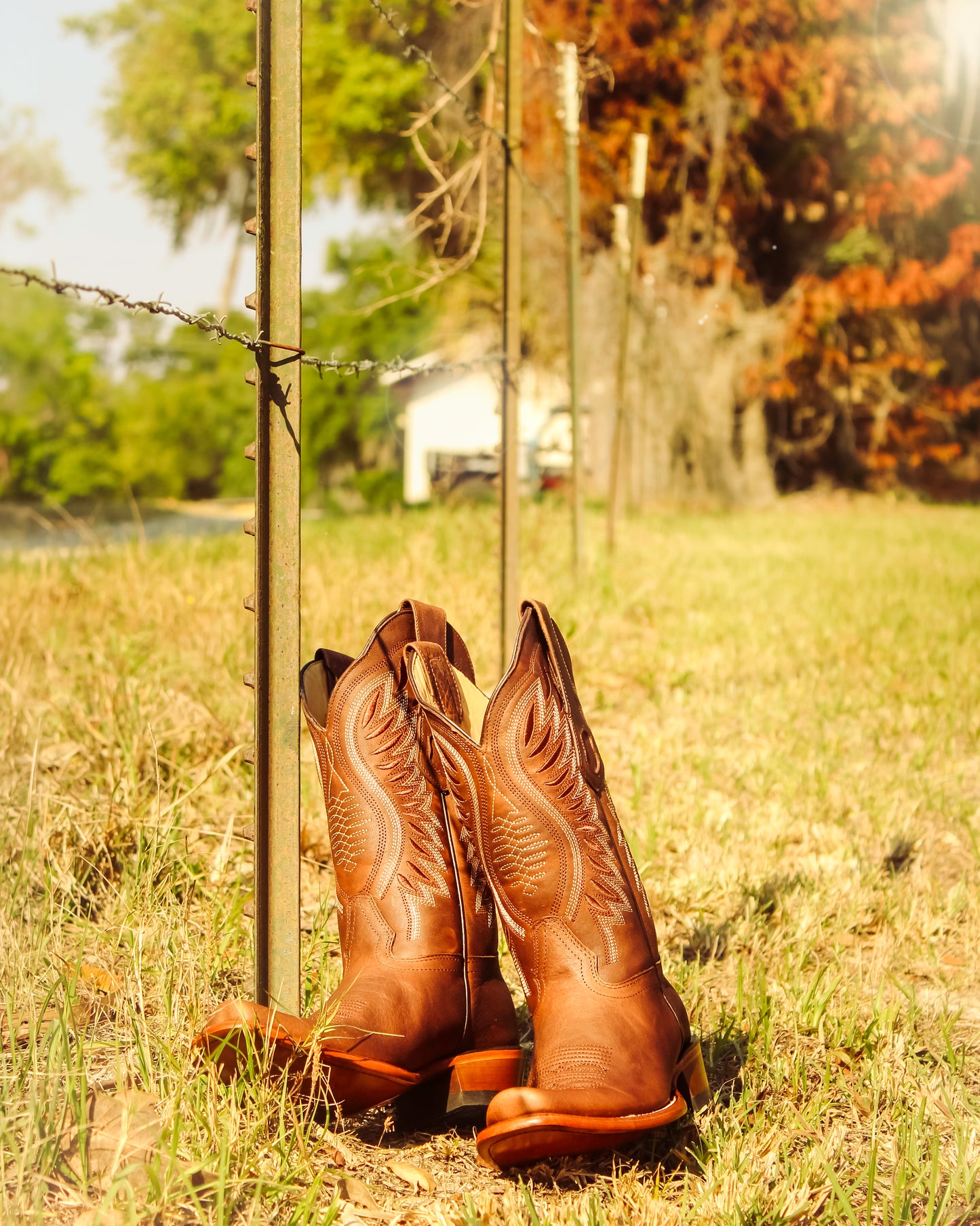 Women's Dubai Western Boots