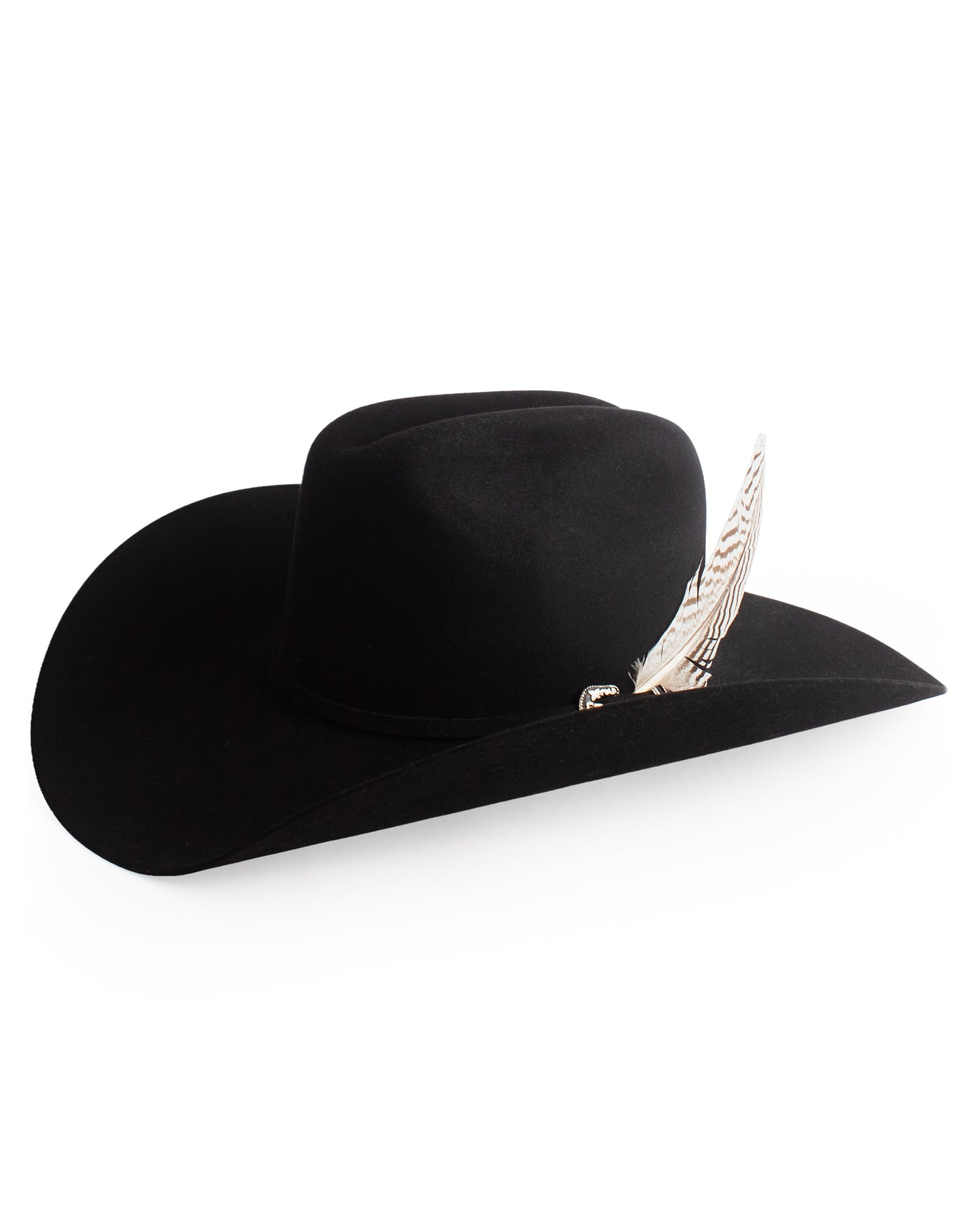 Hat Trim Feather - 02864-1