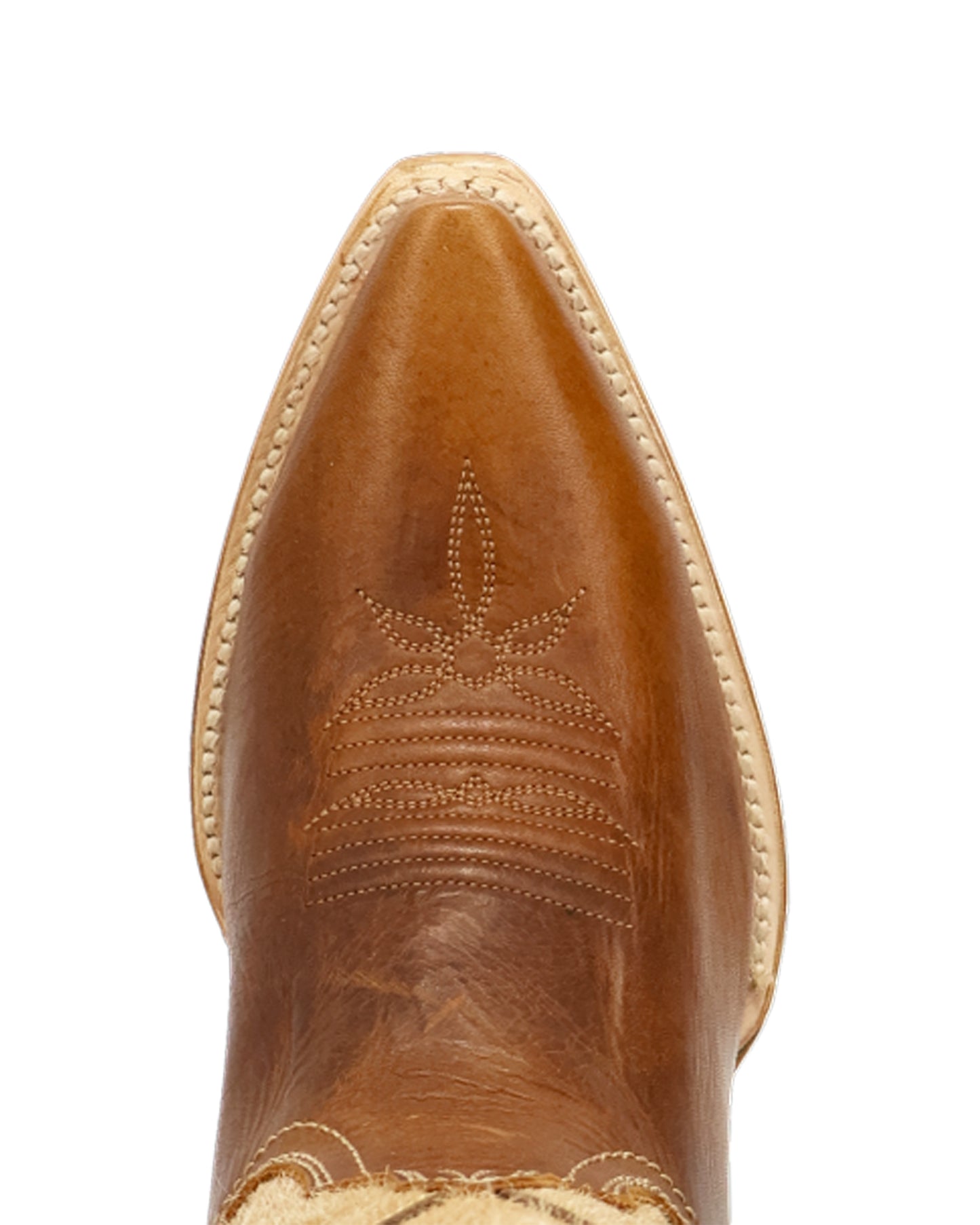 Women's Dayla Tall Western Boots