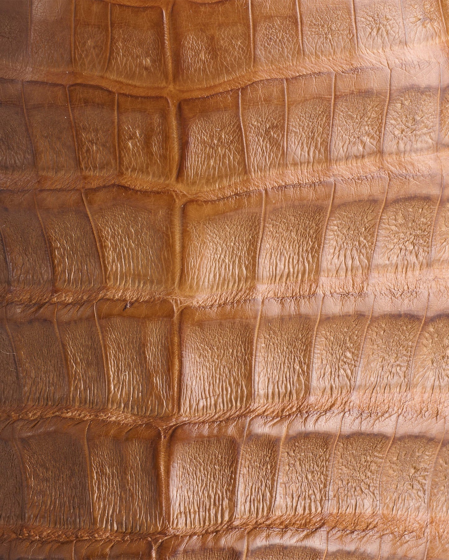 Men's Rowdy Western Boots