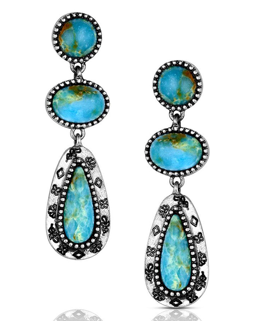 Bold Horizon Turquoise Earrings - Aer6563