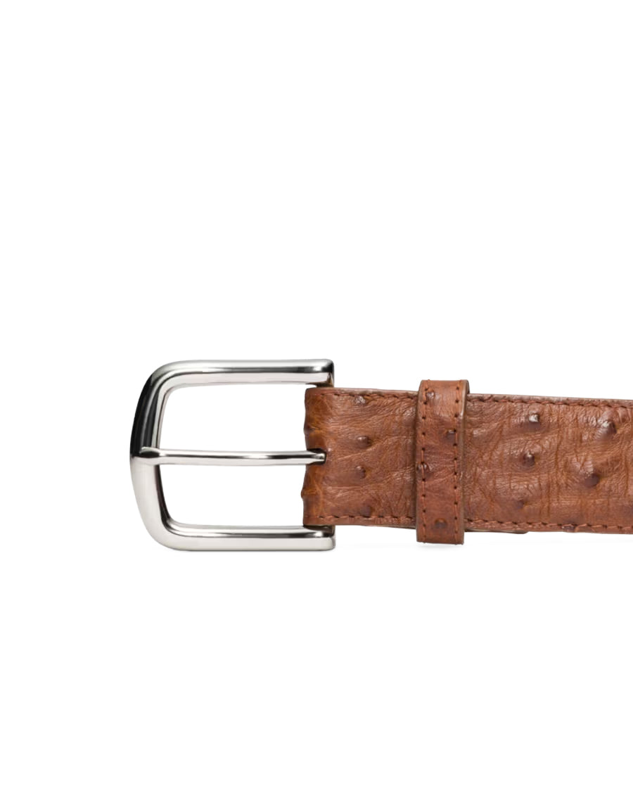 Men's Ostrich Belt II - 30342-Pec