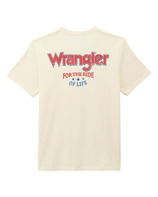 Men's Graphic Short Sleeve T-Shirt - Regular Fit - 112375740