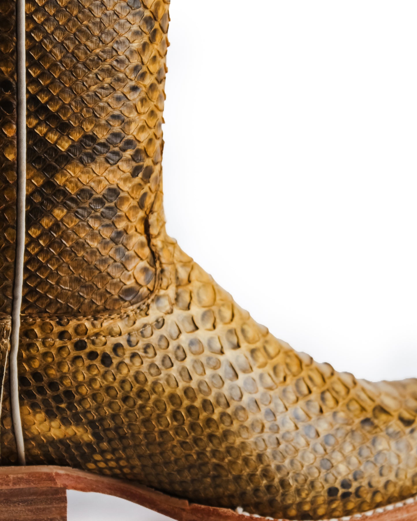Women's Champagne Tall Exotic Western Boots - Rwl7212-1