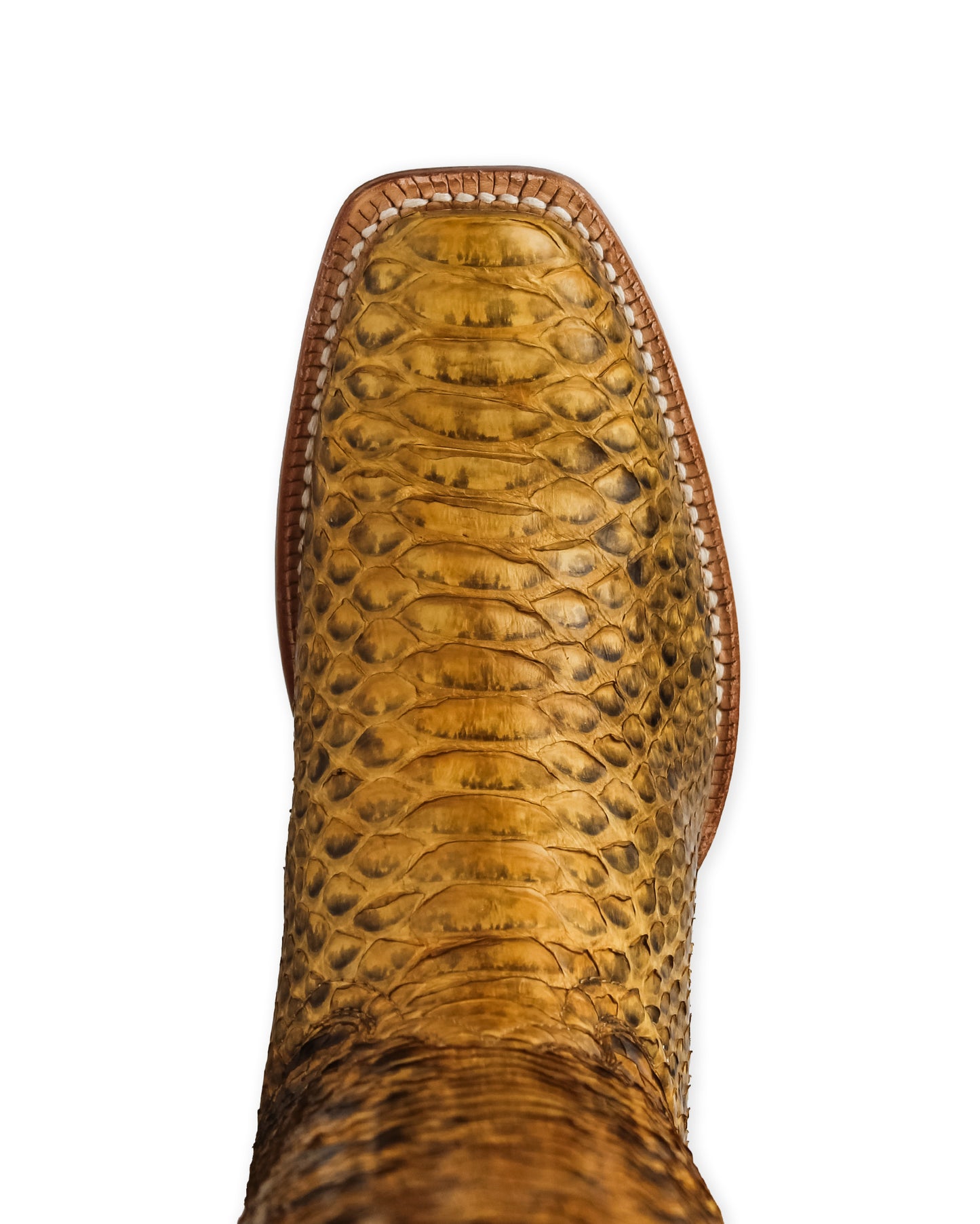 Women's Champagne Tall Exotic Western Boots - Rwl7212-1