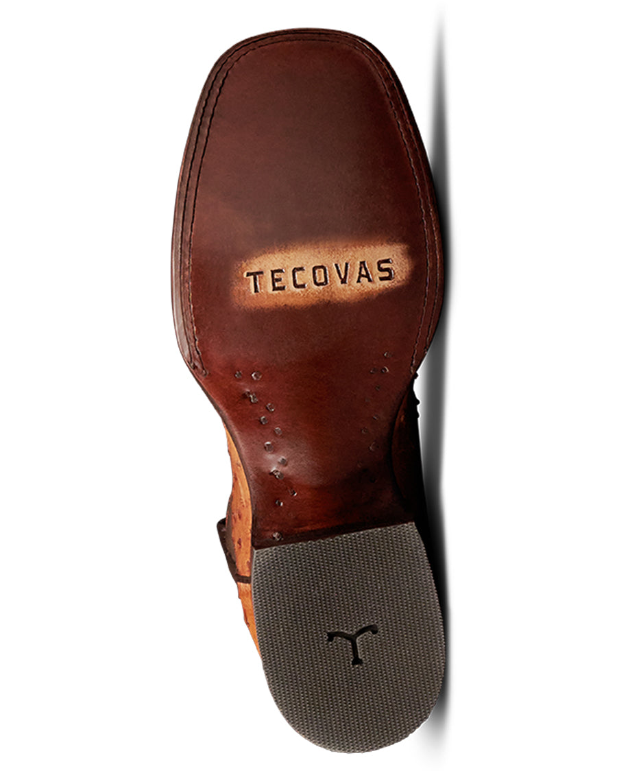 Men's The Emmitt Western Boots