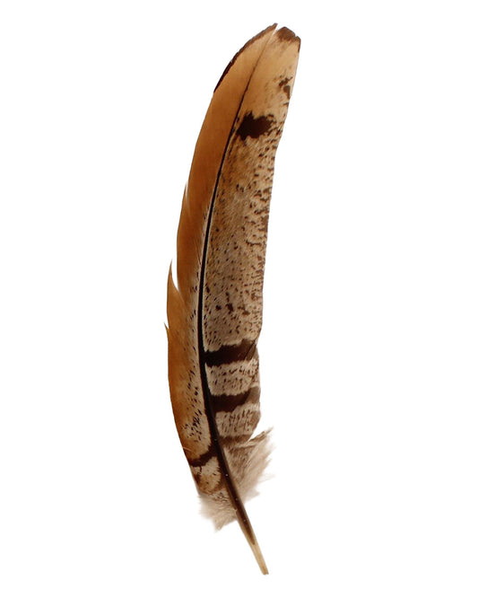 Hat Trim Feather - 02866