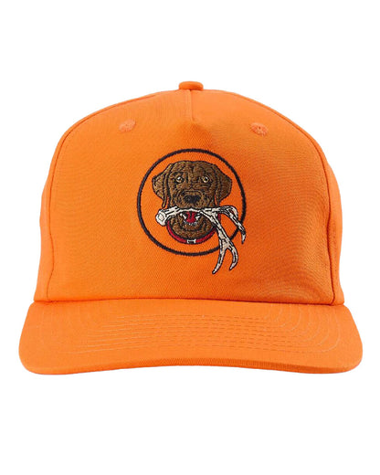 Maggie May Snapback - Mhh26Magmayorg