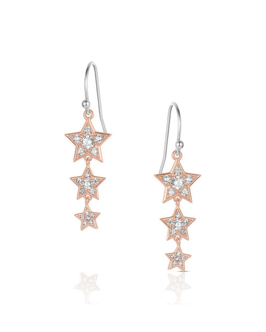 Women's Trio Of Wishes Earrings by Montana Silversmiths from Skip’s Western Outfitters | MON-ER6311-O/S
