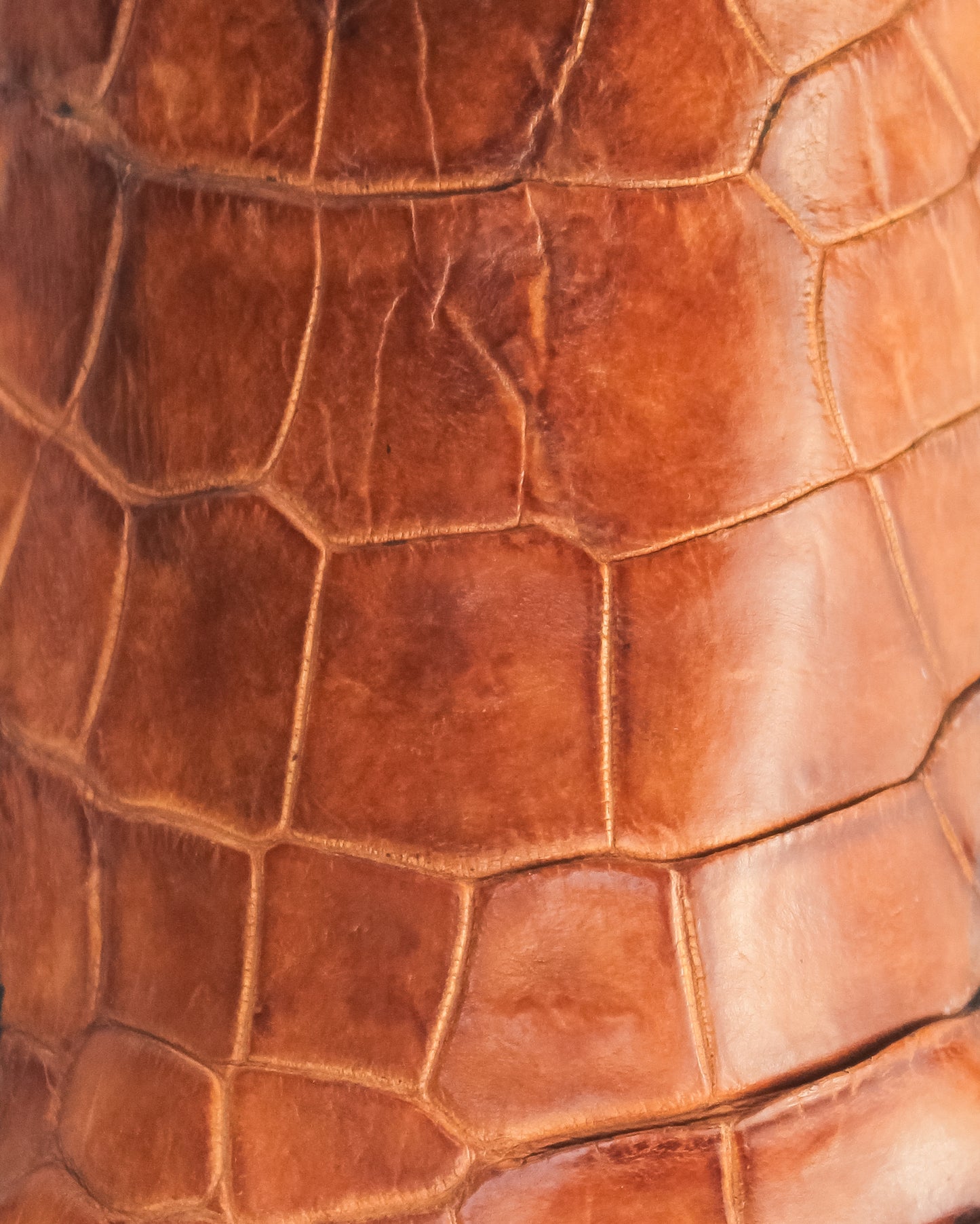 Alligator Knife & Holster - Cognac