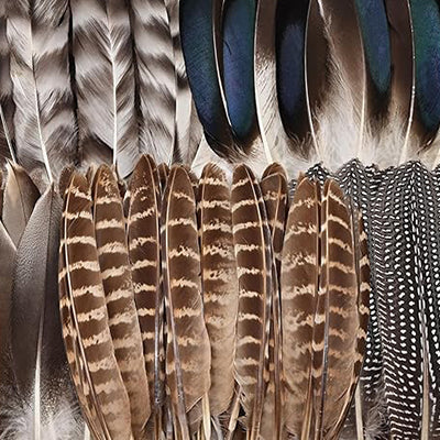 Hat Feathers