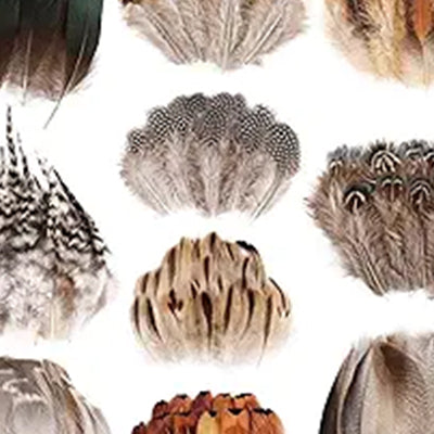 Hat Feathers by Skip's Hat Bar from Skip’s Western Outfitters | SHB-FEATHER-PHEASANT-SMALL