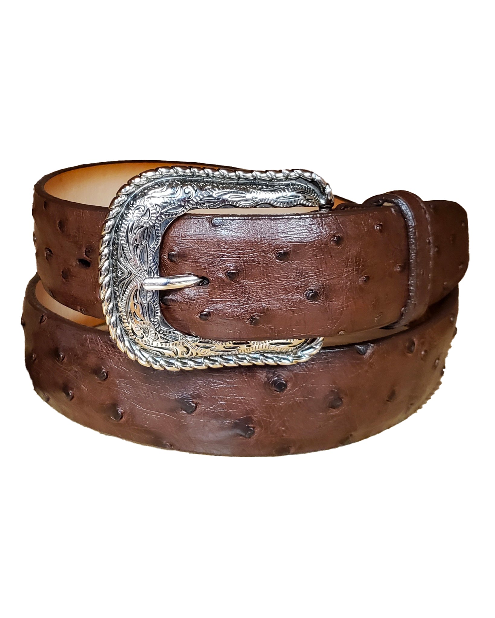 Ostrich Belt – Skip's Western Outfitters