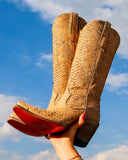 Women's Python Tall Western Boots
